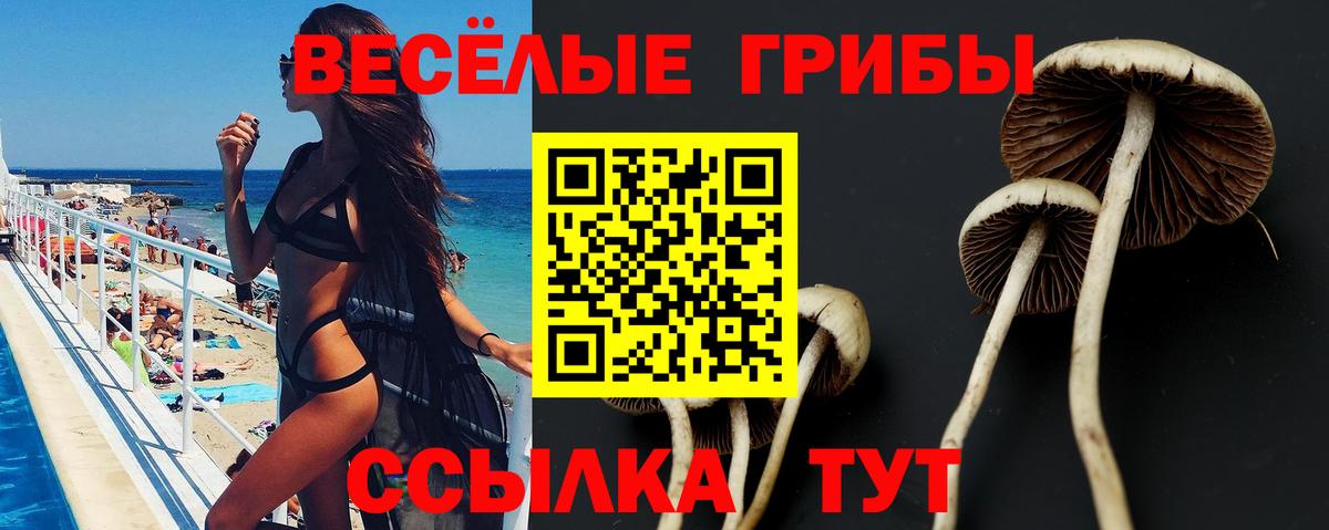 Галлюциногенные грибы Magic Shrooms Урай